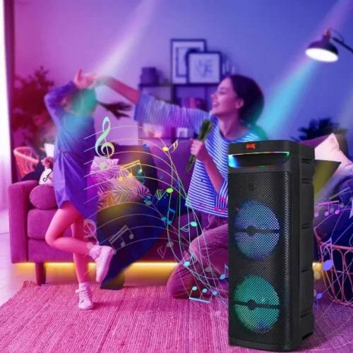 Караоке тонколона инча CH-1021 10″x2 | 40W, LED RGB, Микрофон